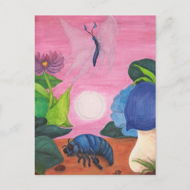 Cartão Postal Ilustração de Transformação de Borboleta de Inseto (Frente)