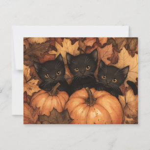 Cartão Postal Ilustração de Trio de Kitten Preto