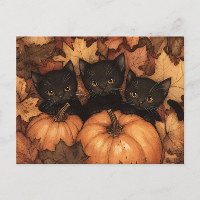 Cartão Postal Ilustração de Trio de Kitten Preto (Frente)