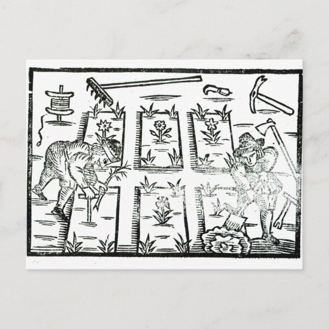 Cartão Postal Ilustração de um Livro de Jardinagem (Frente)