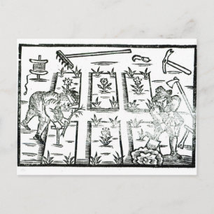 Cartão Postal Ilustração de um Livro de Jardinagem