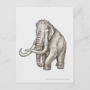 Cartão Postal Ilustração de um mamute