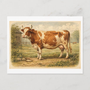 Cartão Postal Ilustração de Vaca em Estilo Vintage