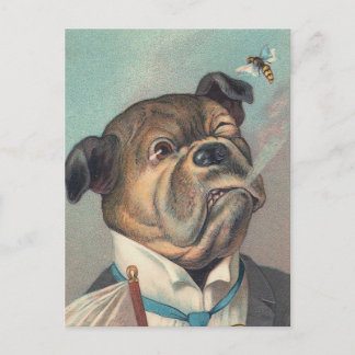 Cartão Postal Ilustração de Vintage Cão e Vasspa