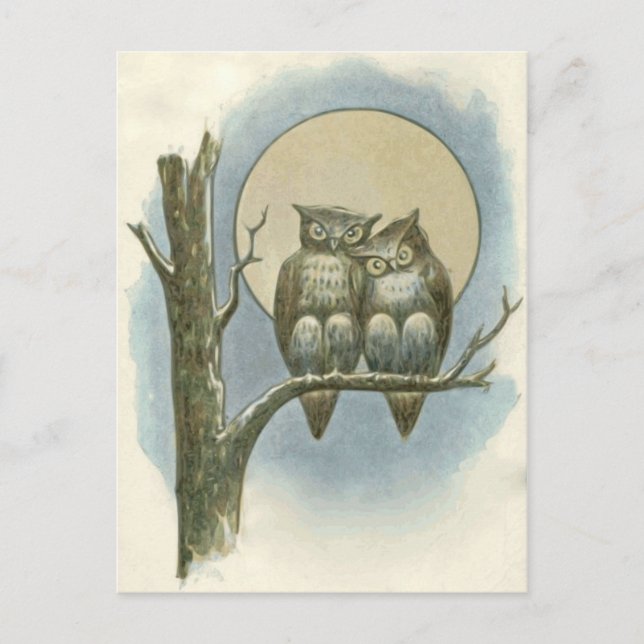 Cartão Postal Ilustração de vintage owls (Frente)