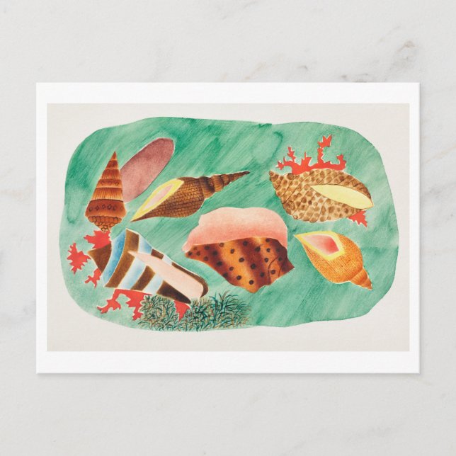 Cartão Postal Ilustração de Vintage Seashell (Frente)