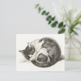 Cartão Postal Ilustração de Vintagem de Gato Dormindo