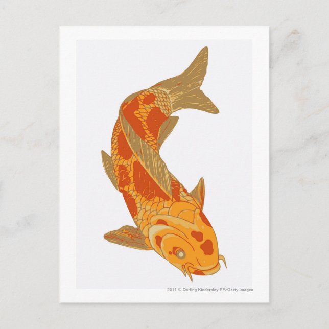 Cartão Postal Ilustração digital de Koi Carp (Frente)
