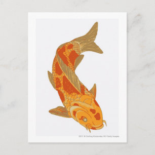 Cartão Postal Ilustração digital de Koi Carp