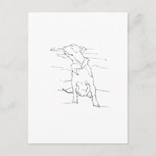 Cartão Postal Ilustração do American Staffordshire Terrier