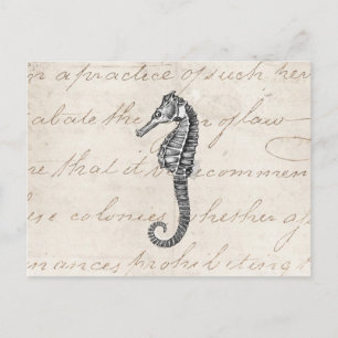 Cartão Postal Ilustração do Cavalo do Mar Havaí nos anos 1800