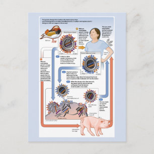 Cartão Postal Ilustração do desvio antigênico (influenza)