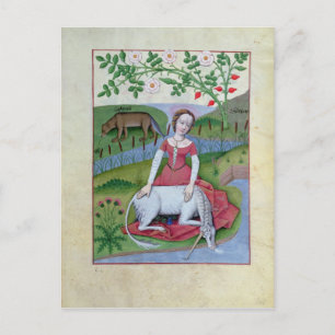 Cartão Postal Ilustração do "Livro dos Medicamentos Simples"