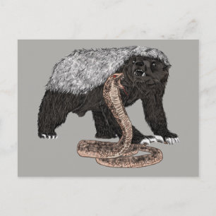 Cartão Postal Ilustração do texugo-mel versus cobra