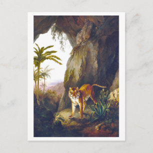 Cartão Postal Ilustração do Tigre Vintage na Caverna
