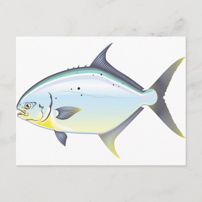 Cartão Postal Ilustração do vetor de peixe Pompano Florida (Frente)