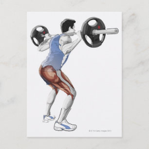Cartão Postal Ilustração dos músculos utilizados pelo homem para