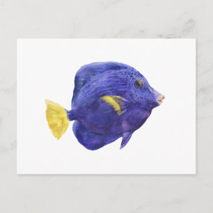 Cartão Postal Ilustração em Aquarela do Peixe Tangue Purple