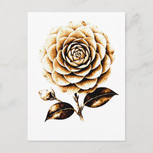 Cartão Postal Ilustração Floral de Rosa de Bronze Elegante em Ma
