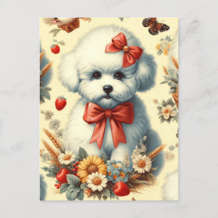 Cartão Postal Ilustração Fofa Vintage de Bichon Frisé