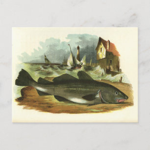 Cartão Postal Ilustração FolkArt De Peixes De Peixes-Diris Vin