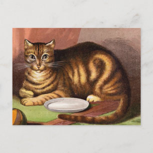 Cartão Postal Ilustração Ginger Tabby Cat Vintage