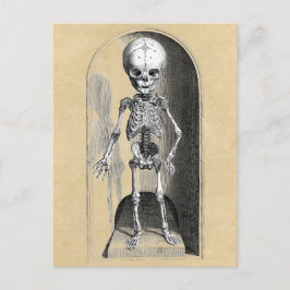 Cartão Postal Ilustração Médica Bidloo (Anterior)