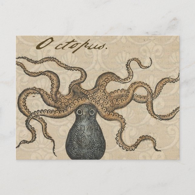 Cartão Postal Ilustração Octopus Kraken Vintage (Frente)