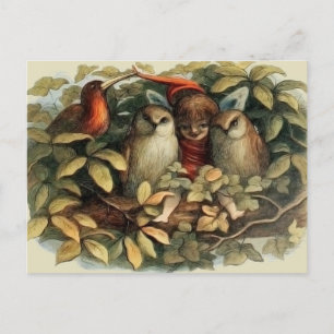 Cartão Postal Ilustração rica em recursos naturais do Owls e d