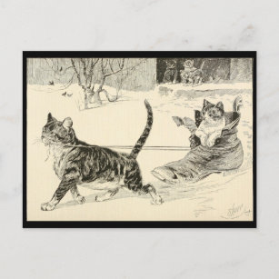 Cartão Postal Ilustração Vintage Cat 1883, Diversão em um Calçad