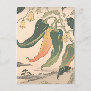 Cartão Postal Ilustração Vintage de Pimenta