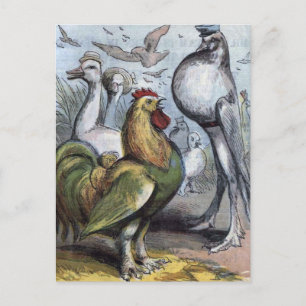Cartão Postal Ilustração Vintage do Sr. Bantam