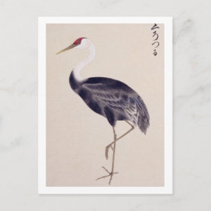 Cartão Postal Ilustração vintage: Grou-comum
