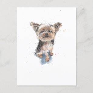 Cartão Postal Ilustração Yorkshire Terrier, cãozinho Yorkie engr