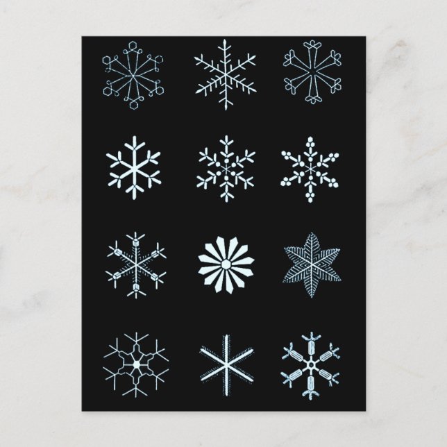 Cartão Postal Ilustrações de Flocos de Neve (preto) (Frente)