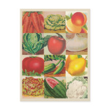 Ilustrações de Frutas e Produtos Hortícolas