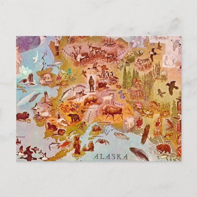 Cartão Postal Ilustrado Antigo do Alasca (Frente)