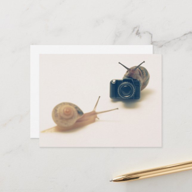 Cartão Postal I'm a photographer. (Frente/Verso In Situ)