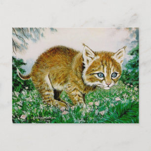 Cartão Postal Ima Bobkitty