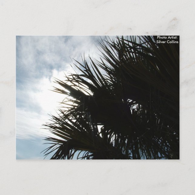 Cartão Postal Imagem 150, Foto Artista: Silver Collins (Frente)