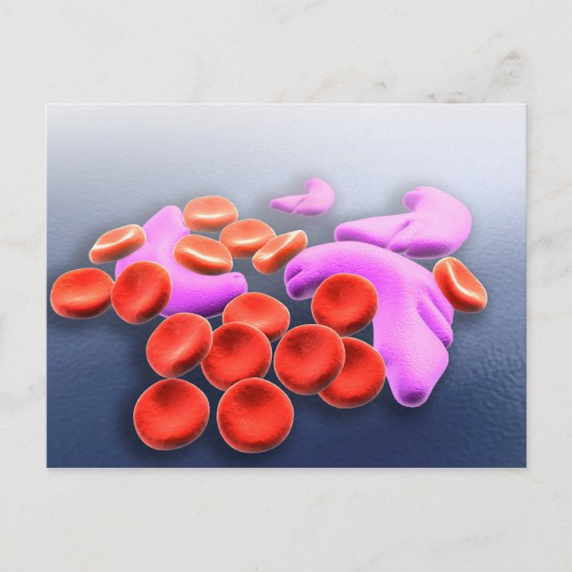 Cartão Postal Imagem Conceitual Da Anemia Das Células Falciforme (Frente)