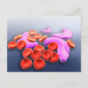 Cartão Postal Imagem Conceitual Da Anemia Das Células Falciforme