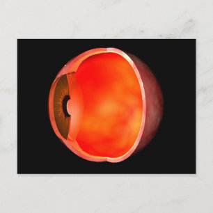 Cartão Postal Imagem Conceitual Da Cruz De Olhos Humanos Seção