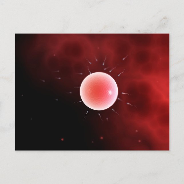 Cartão Postal Imagem Conceitual Da Fertilização Comum (Frente)