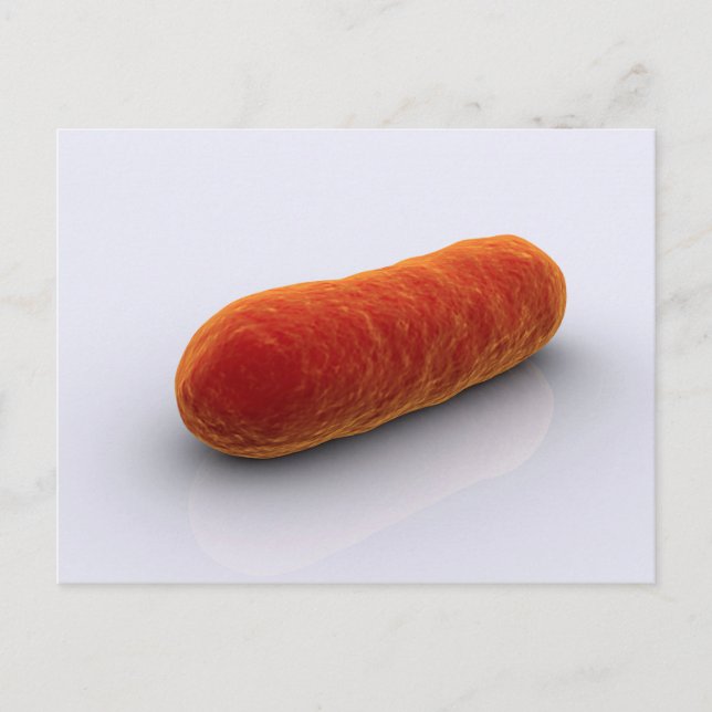 Cartão Postal Imagem Conceitual Das Bactérias 4 (Frente)