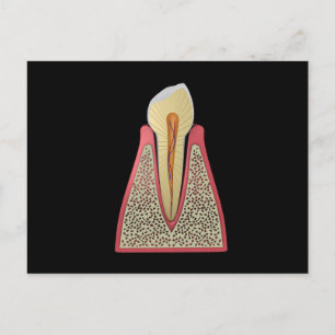 Cartão Postal Imagem Conceitual de Dente Humano 2