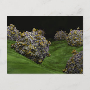 Cartão Postal Imagem Conceitual Do Coxsackievírus 1