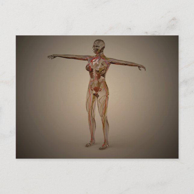 Cartão Postal Imagem Conceitual Do Sistema Nervoso Humano 2 (Frente)