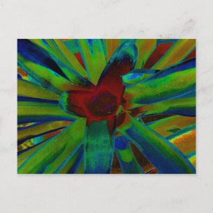 Cartão Postal Imagem da Fábrica de Bromelia Vermelha Verde Azul