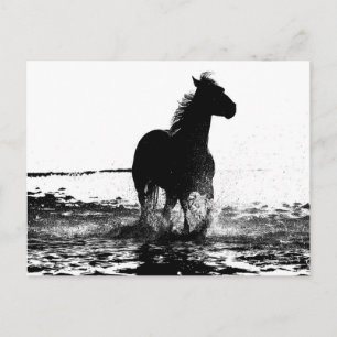 Cartão Postal Imagem de arte pop preto e branco de cavalo corren